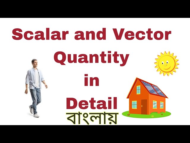 Scalar and Vector quantity  with example in Bengali || Physics|| Vector Analysis || series -1