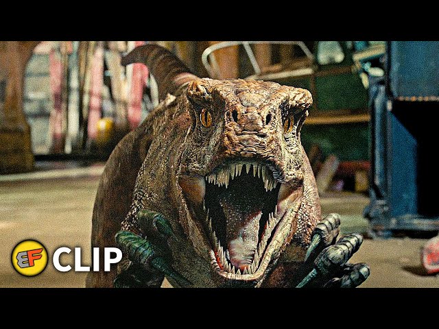 Atrociraptors Chase Scene (Part 1) | Jurassic World Dominion (2022) Movie Clip HD 4K