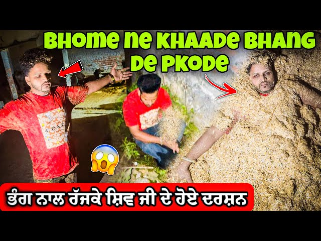 Bhome Ne Bhang De Pkode Khaa Lye Fer||Njaara Aa Jau Video Dekh k😂||0300 Ale