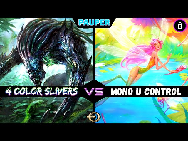 Look for the Opening! - 4 Color Slivers VS Mono U Control | PAUPER | Magic the Gathering Online