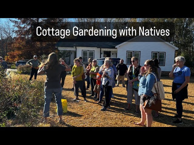 Seeding a cottage garden in a native border