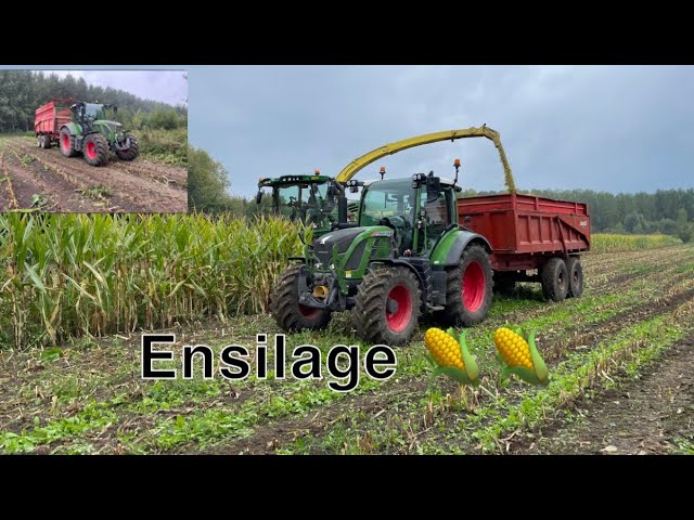 Ensilage de maïs bio 2022