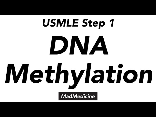 DNA Methylation - Biochemistry - USMLE Step 1