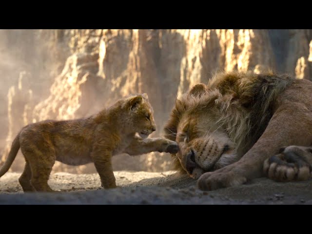 The Lion King | أسد بيقتل أخوه الملك وبيحاول إنه يقتل إبنه، وإبنه بيكبر وبيرجع عشان ينتقم لأبوه