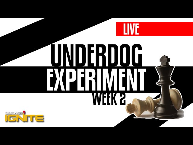 Underdog Experiment - Live Stream - Week 2 - Friday Session