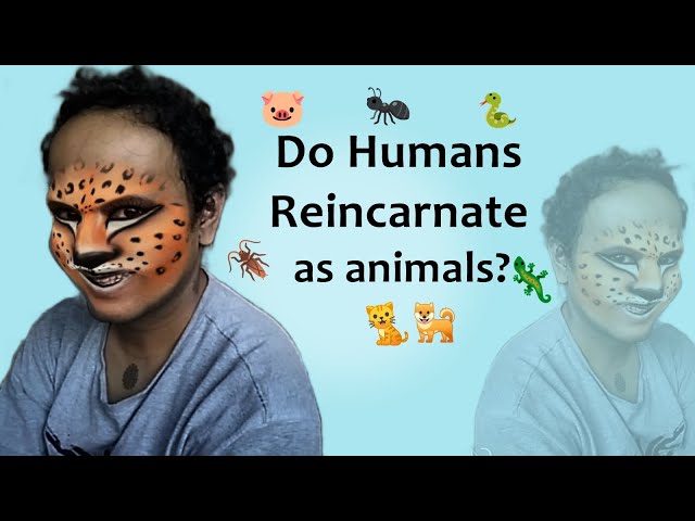Do Humans Reincarnate As Animals?