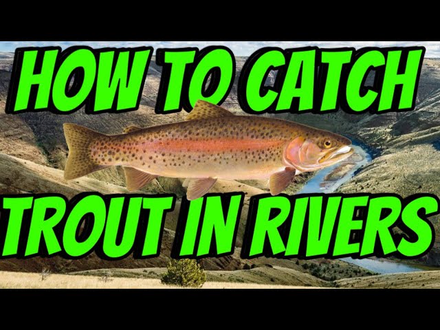 HOW TO Catch Trout in RIVERS, Streams, Or CREEKS! (In Depth Tutorial)