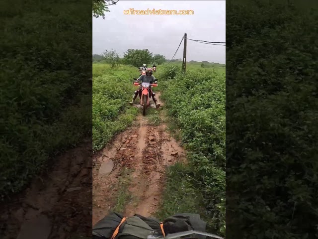 ⚙️ Riding Farm Tracks ⚙️ Vietnam Motorbike Tours #vietnam #motorcycle #motorbike #tours #wayoflife