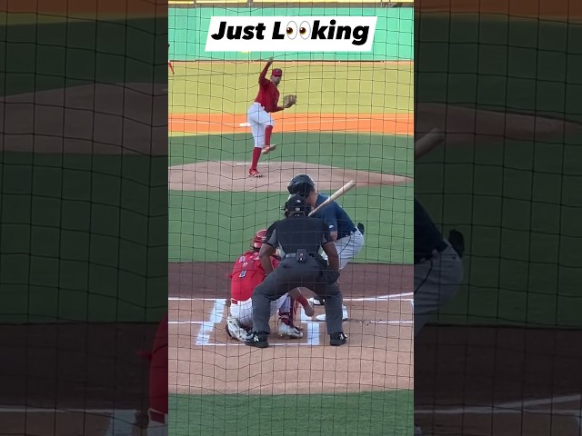 Just Looking!  The hitter knew he got caught looking at strike 3.  #baseball #Life