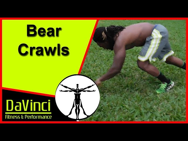 Bear Crawls Demonstration | 101 No Equipment HIIT (High Intensity Interval Training ) Workouts eBook