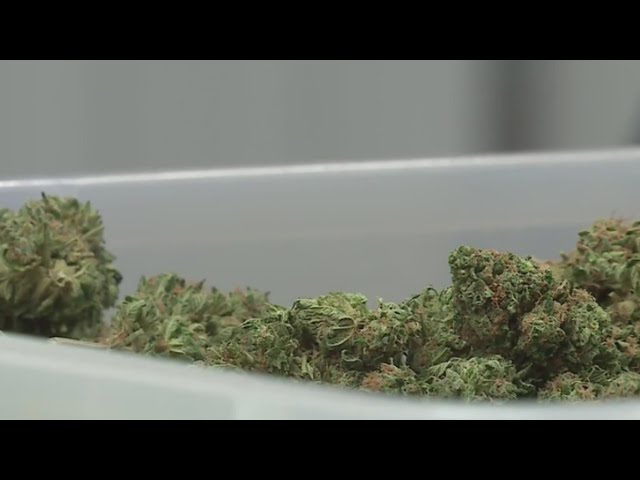 Danville City Council greenlights third cannabis dispensary