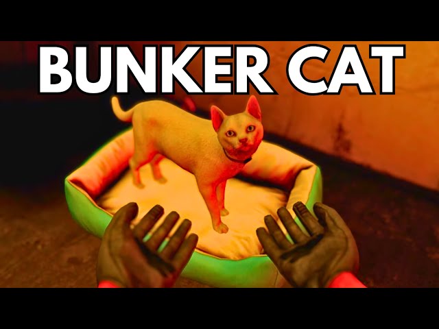 Ghosts Of Tabor Added A BUNKER CAT