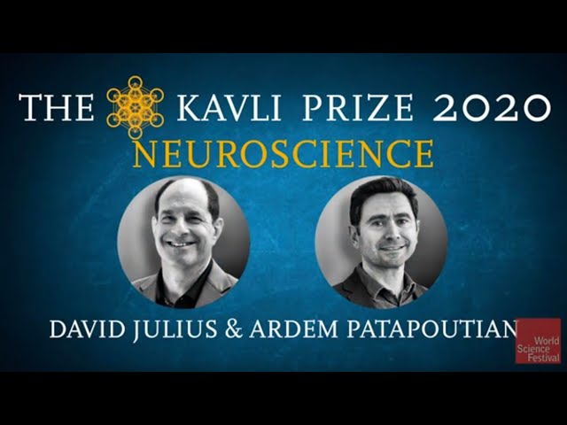 Science in Focus. The Kavli Prize 2020 | Neuroscience