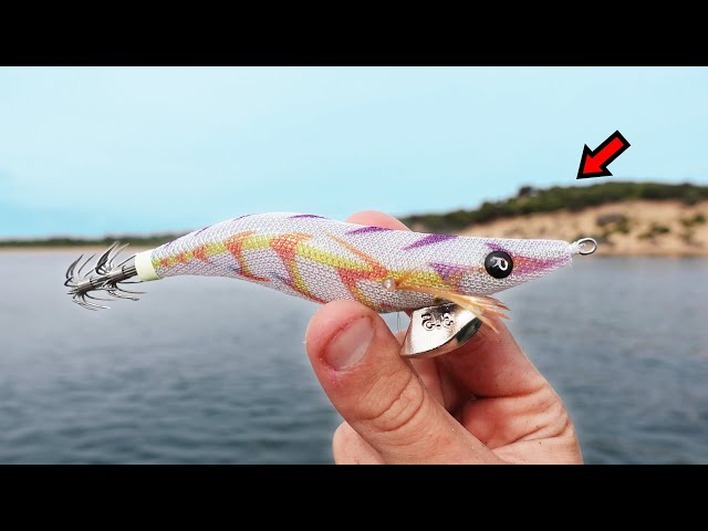 This Jig Always Gets GIANT Squid?!