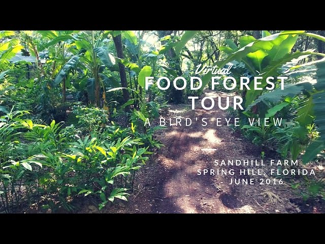 Food Forest Tour at Sandhill Farm: A Bird's Eye View