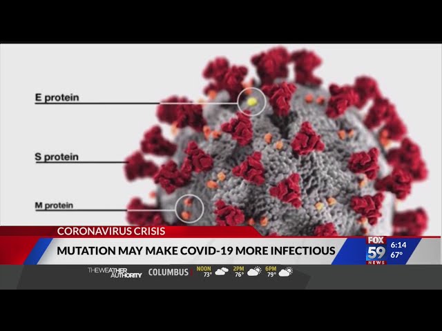 Mutation may make coronavirus more infectious, study shows