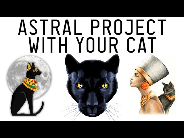 How To Use Your Cat for Astral Projection