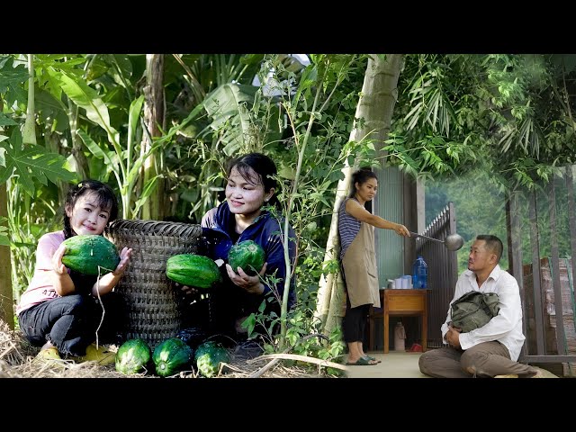 Poor girl and her daughter harvest vegetables - Drunk husband sells house and ends | Lý An Nhiên
