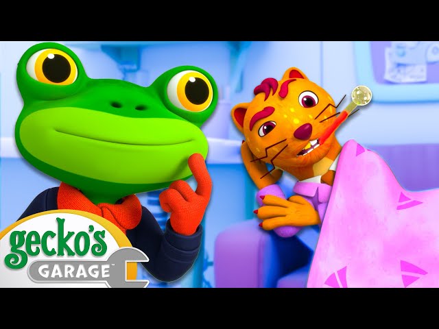 Weasel Is Very UNWELL! | Gecko's Garage 🦎 | Action Cartoons For Kids
