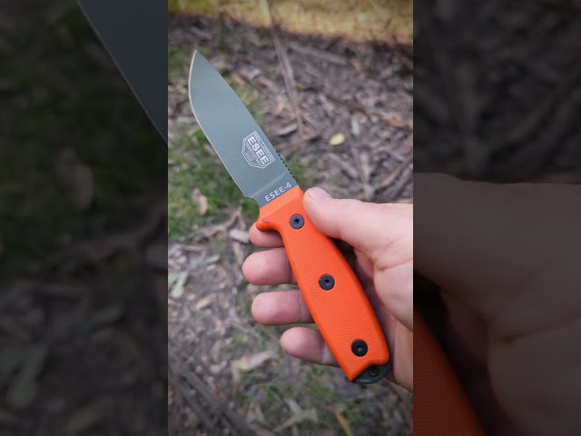 ESEE 4 out in the bush