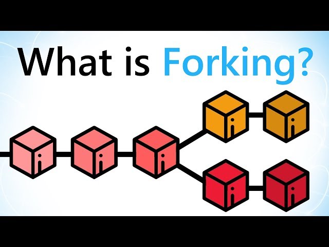 What are Blockchain Forks?