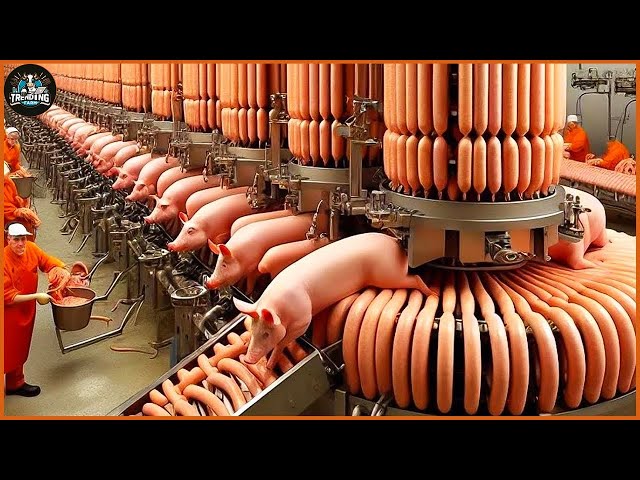 How Farmers Transport And Process Millions Of Tons Of Pig Skin - Pig Farm | Farming Documentary