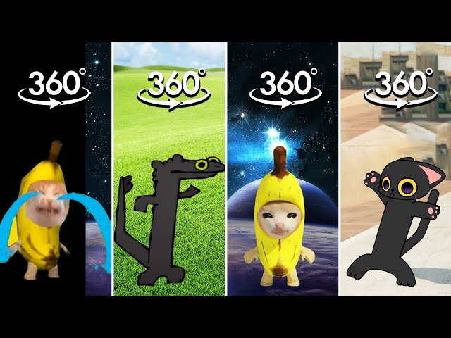 FIND Banana Cat Crying and Toothless Dance Meme COMPILATION |  Finding Challenge 360º VR Video l 4K