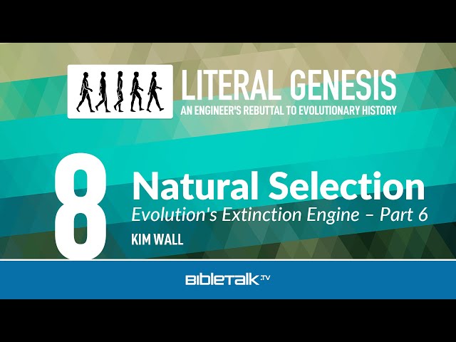 Natural Selection: Evolution's Extinction Engine: Part 6 – Kim Wall | BibleTalk.tv