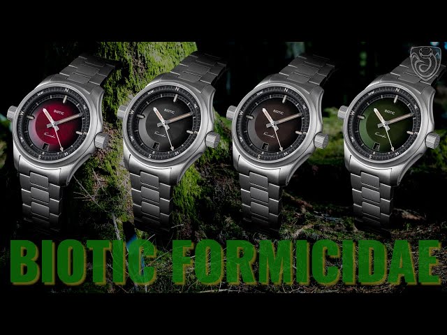 Biotic Formicidae Compass Watch Review - The perfect alternative to the Seiko Alpinist?
