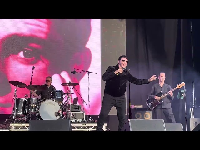 Somethings got a hold of my heart - Marc Almond August 2023 Feile an Phobail Belfast
