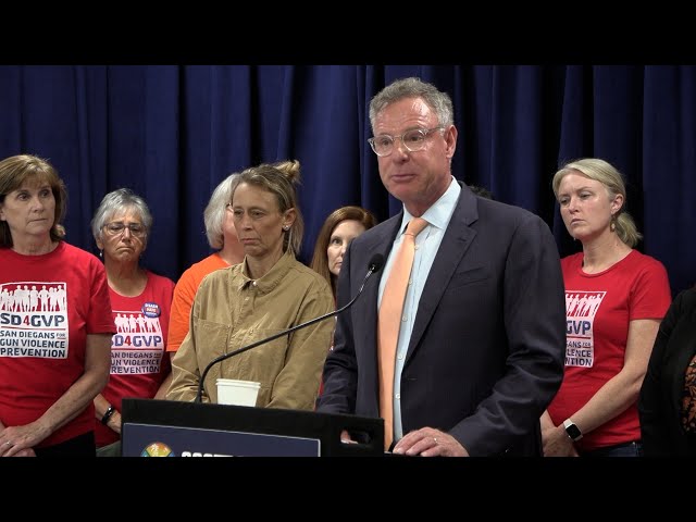 Peters, local leaders call on Congress to act on gun violence