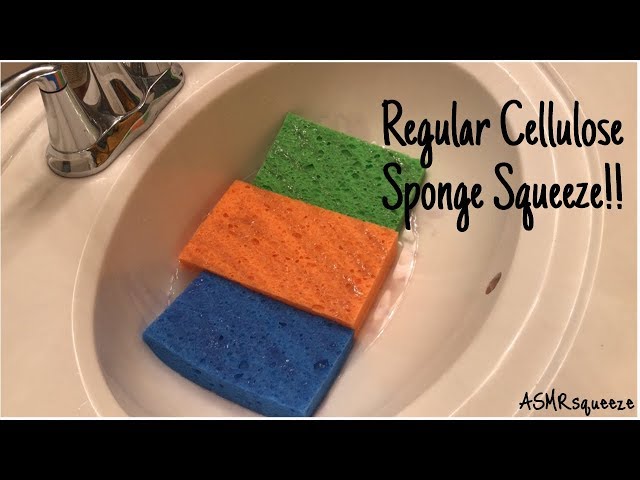 Regular Soapy Cellulose Sponges/ASMRsqueeze