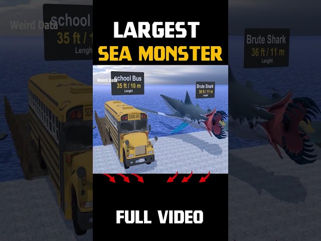 How Big The SEA MONSTER? | 3D Sea Monsters Size Comparison