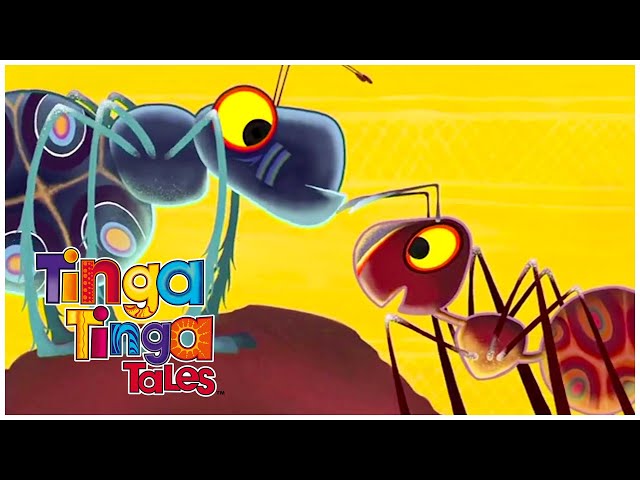 Ants Must Work Together! 🐜 | 1 Hour of Animal Stories for Kids | Tinga Tinga Tales Official