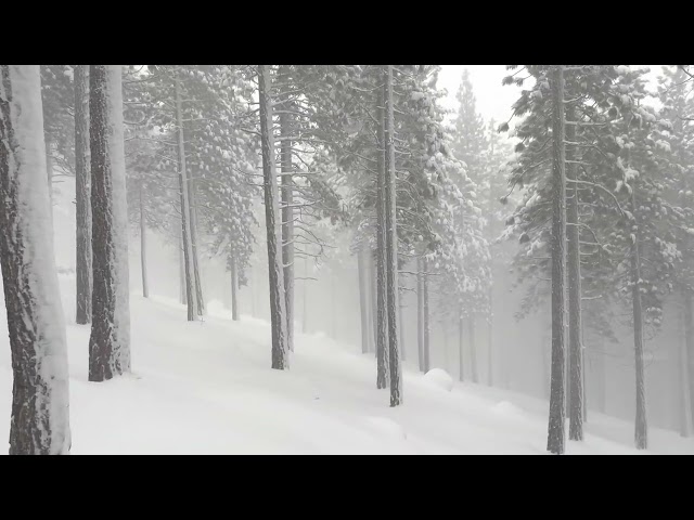 First Blizzard Snowshoeing Adventure in Tahoe of 2023