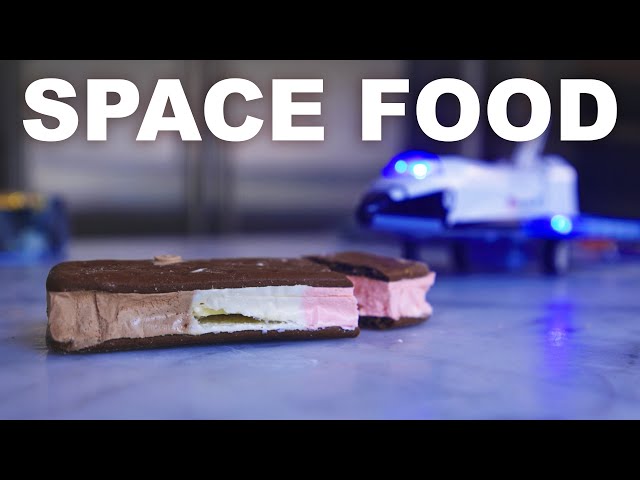 Real space food vs fake space food