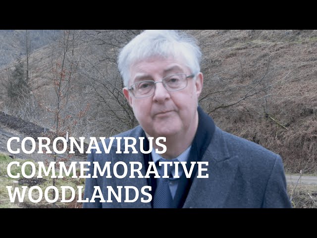 Coronavirus Commemorative Woodlands announced