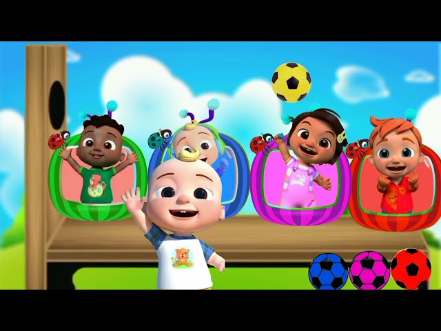 BabyShark Learn Colours|Wheel On the bus|Finger Family Song|The Boo Boo Song|Old Macdonald Cocomelon