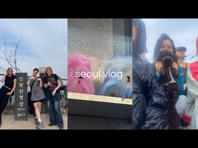 Seoul vlog. Vintage pop-up event, spring cleaning at Ferments, and going hiking in Korea