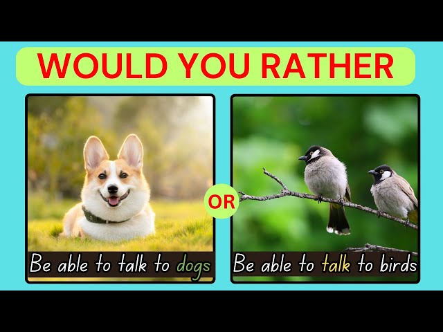 Would You Rather...? Animal Edition🐶😹