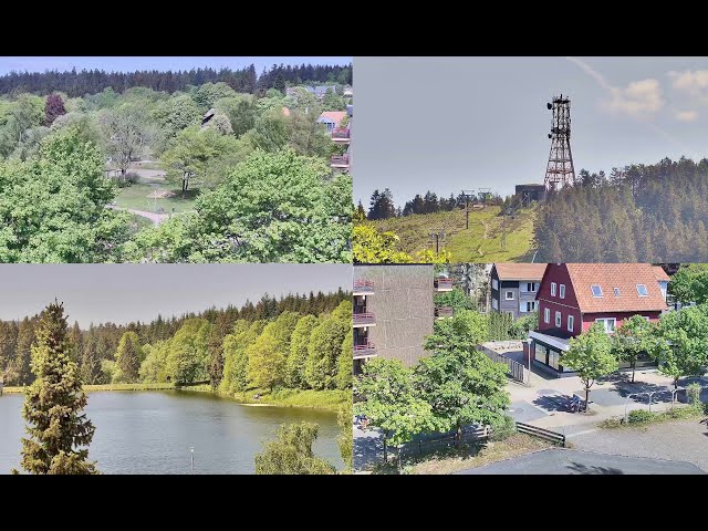 Harz - Hahnenklee - Livewebcam 2