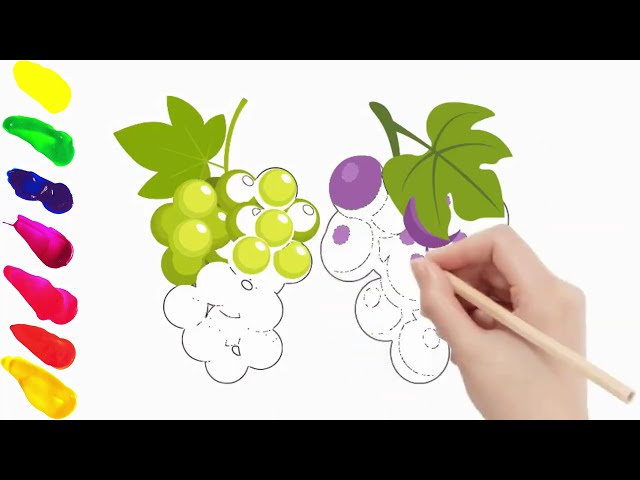 Grape Fruit C0l0ring, Drawing, Painting f0r Kids and T0ddlers | Super Art Studium | Coolay