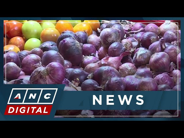 Farmgate price of onions seen to go down during peak of harvest | ANC