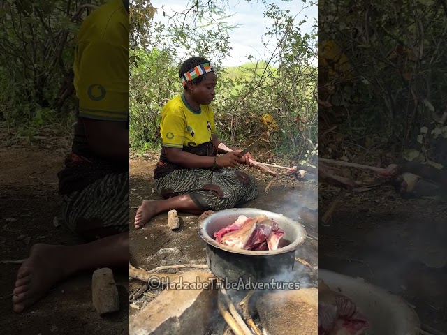 Hadzabe tribe women spend most of their time preparing bush food for tribes dinner