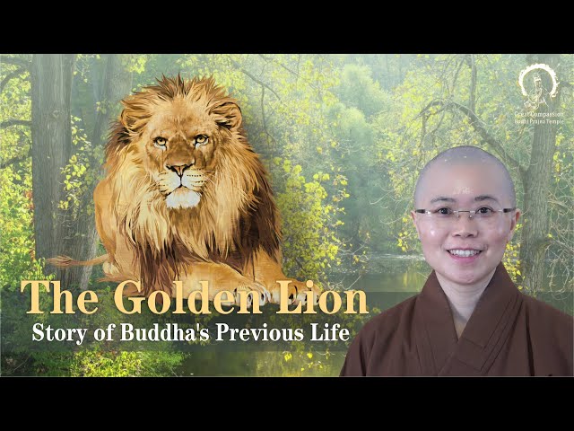 Story of Buddha's Previous Life | Buddhist Story:The Golden Lion | Master Miao Yin | 佛陀本生故事金色獅子|妙音法師