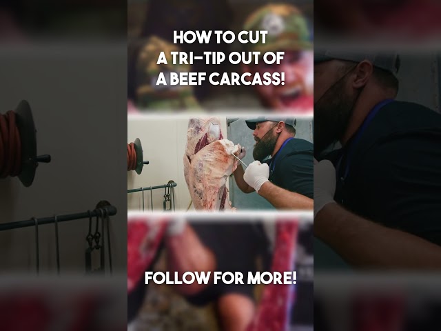 How to Cut A Tri-Tip Out Of A Beef Carcass! #shorts #butcher #meat