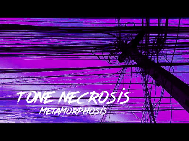 TONE_NECROSIS_Metamorphosis_(Industrial_metal)