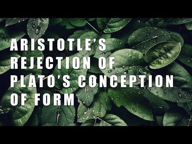 Aristotle’s Rejection of Plato’s Conception of Form