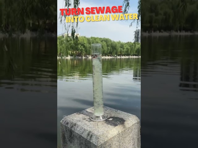 All kinds of sewage treatment agents are sold to make sewage treatment easier#sewagetreatment #lake