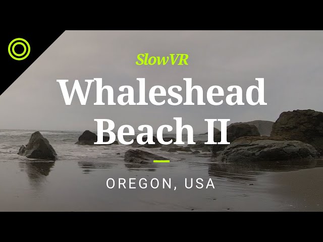 Relaxing Waves at Whaleshead Beach - Oregon Coast, USA [Slow VR 8K 360° Video & Sound]